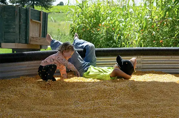 corn kernel play