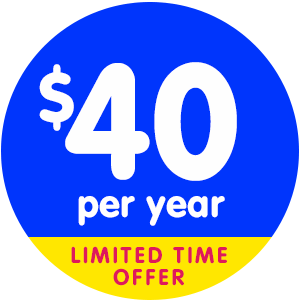 product $40 annual icon - limited time offer